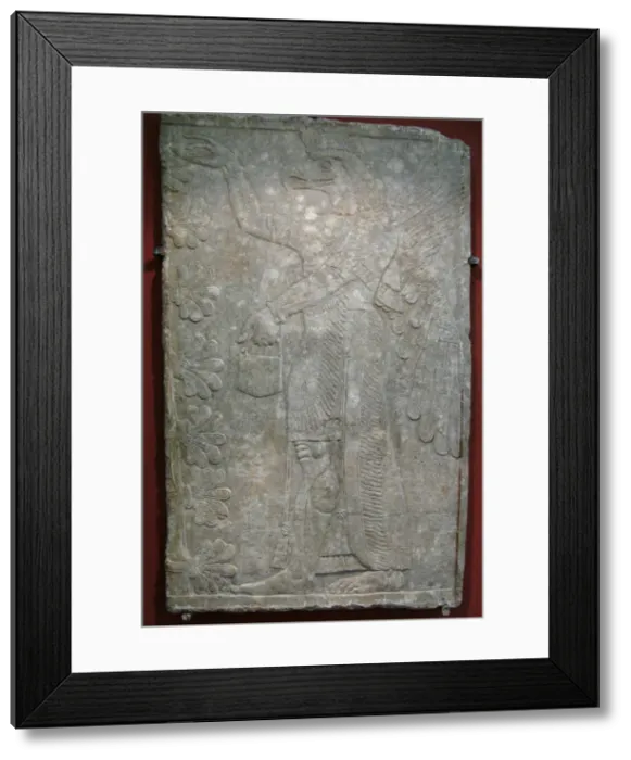 Framed Print : Relief from the palace of Ashurnasirpal II at Kalhu, Nimrud, 9th century BC Framed Print : Relief from the palace of Ashurnasirpal II at Kalhu, Nimrud, 9th century BC
