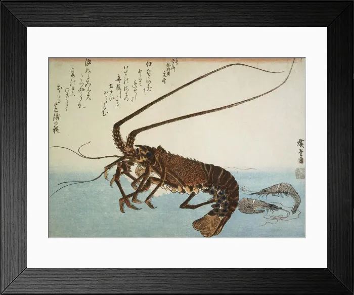Framed Print : 2586160 Framed Print : 2586160