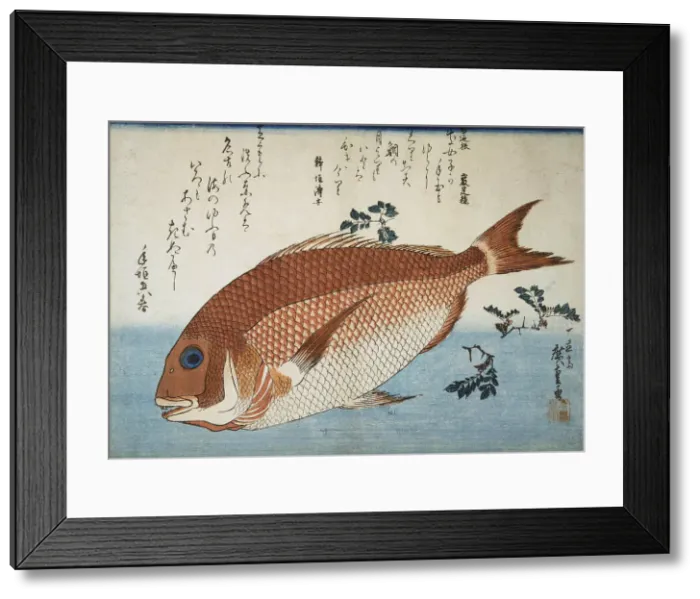 Framed Print : 2586161 Framed Print : 2586161