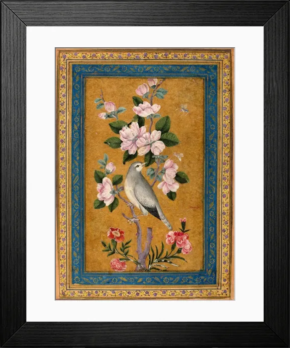 Framed Print : Bird Perching on a Blossoming Branch, 1696 Framed Print : Bird Perching on a Blossoming Branch, 1696