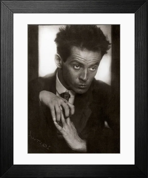 Framed Print : Egon Schiele (Detail), 1914 Framed Print : Egon Schiele (Detail), 1914