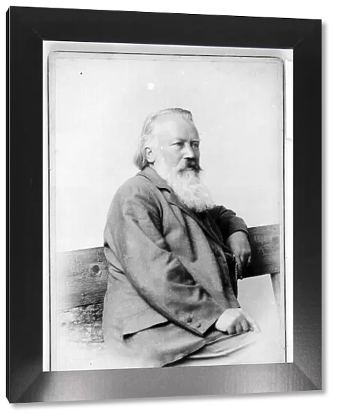 Portrait of Johannes Brahms (1833-1897)