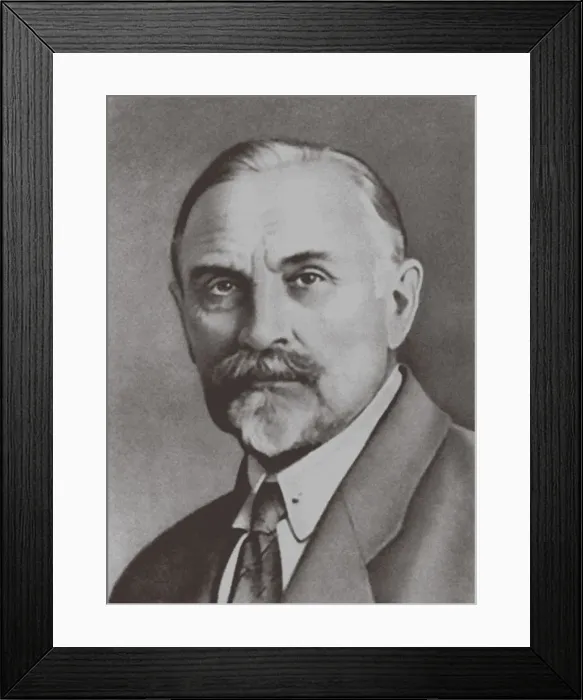 Framed Print : Sergey Ivanovich Spasokukotsky (1870-1943) Framed Print : Sergey Ivanovich Spasokukotsky (1870-1943)