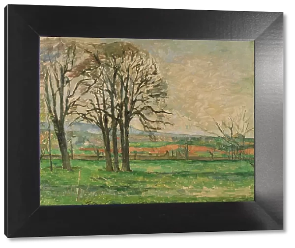 The Bare Trees at Jas de Bouffan, 1885-1886. Artist: Cezanne, Paul (1839-1906)