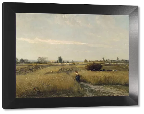 The Harvest, 1851. Artist: Daubigny, Charles-Francois (1817-1878)