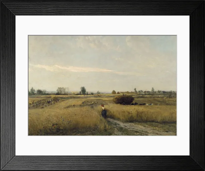 Framed Print : The Harvest, 1851. Artist: Daubigny, Charles-Francois (1817-1878) Framed Print : The Harvest, 1851. Artist: Daubigny, Charles-Francois (1817-1878)