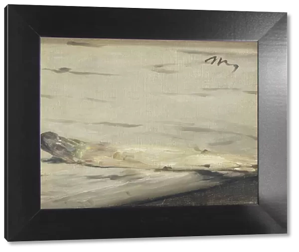 Asparagus, 1880. Artist: Manet, Edouard (1832-1883)