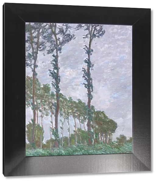 Wind Effect, Series of The Poplars, 1891. Artist: Monet, Claude (1840-1926)