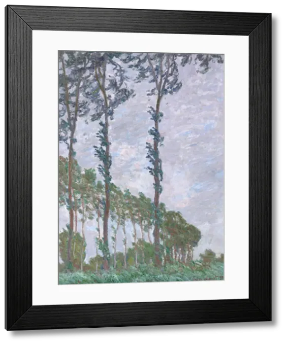 Framed Print : Wind Effect, Series of The Poplars, 1891. Artist: Monet, Claude (1840-1926) Framed Print : Wind Effect, Series of The Poplars, 1891. Artist: Monet, Claude (1840-1926)