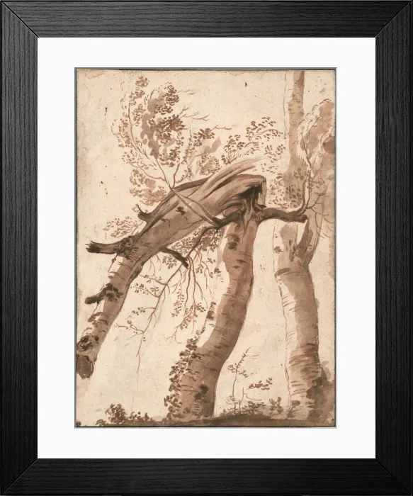 Framed Print : Two Silver Birches, the Front One Fallen, c. 1629. Artist: Poussin, Nicolas (1594-1665) Framed Print : Two Silver Birches, the Front One Fallen, c. 1629. Artist: Poussin, Nicolas (1594-1665)