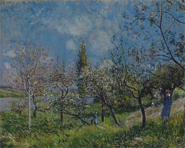 Orchard in Spring, By, 1881. Artist: Sisley, Alfred (1839-1899)