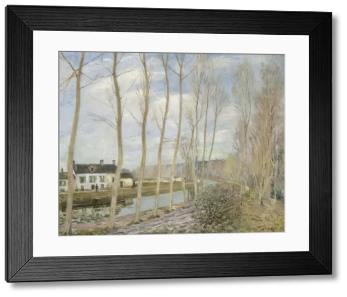 Framed Print : Canal du Loing, 1892. Artist: Sisley, Alfred (1839-1899) Framed Print : Canal du Loing, 1892. Artist: Sisley, Alfred (1839-1899)