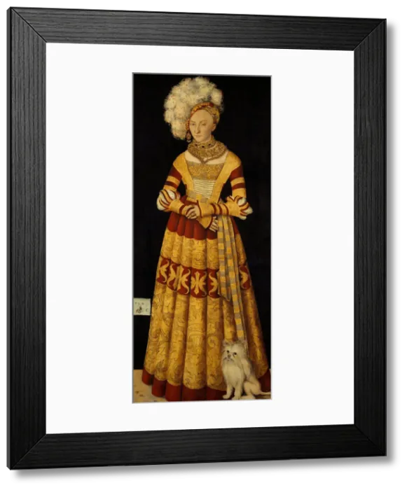 Framed Print : Duchess Katharina von Mecklenburg (1487-1561), 1514. Artist: Cranach, Lucas, the Elder (1472-1553) Framed Print : Duchess Katharina von Mecklenburg (1487-1561), 1514. Artist: Cranach, Lucas, the Elder (1472-1553)