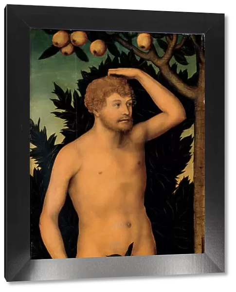 Adam, after 1537. Artist: Cranach, Lucas, the Elder (1472-1553)