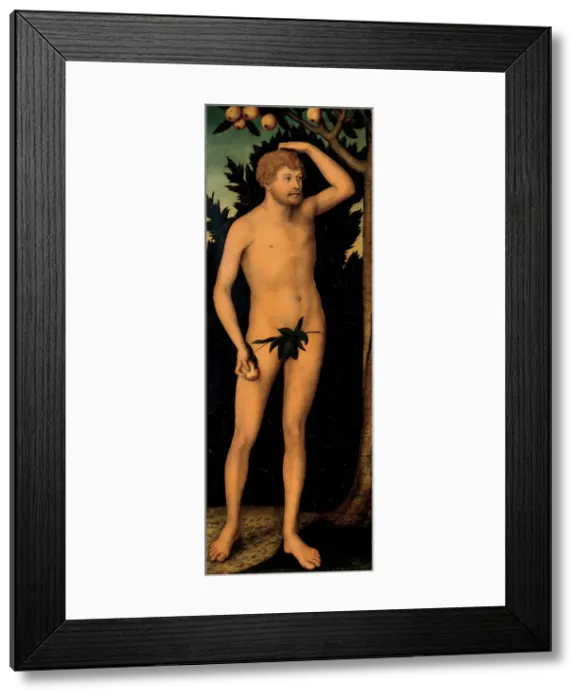 Framed Print : Adam, after 1537. Artist: Cranach, Lucas, the Elder (1472-1553) Framed Print : Adam, after 1537. Artist: Cranach, Lucas, the Elder (1472-1553)