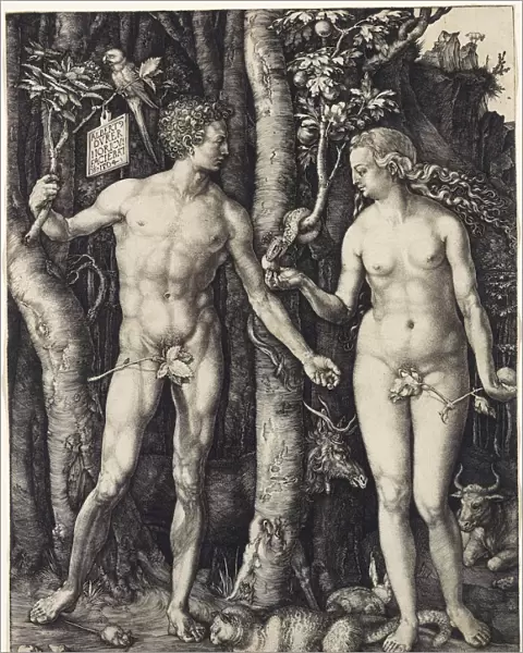 Adam and Eve, 1504. Artist: Durer, Albrecht (1471-1528)