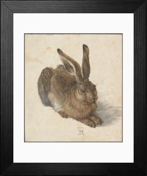 Framed Print : Hare, 1502. Artist: Durer, Albrecht (1471-1528) Framed Print : Hare, 1502. Artist: Durer, Albrecht (1471-1528)