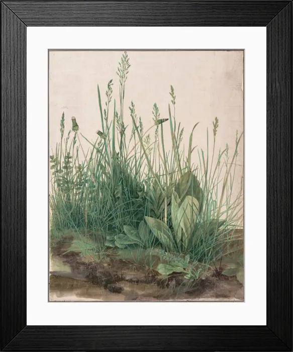 Framed Print : The Large Piece of Turf, 1503. Artist: Durer, Albrecht (1471-1528) Framed Print : The Large Piece of Turf, 1503. Artist: Durer, Albrecht (1471-1528)