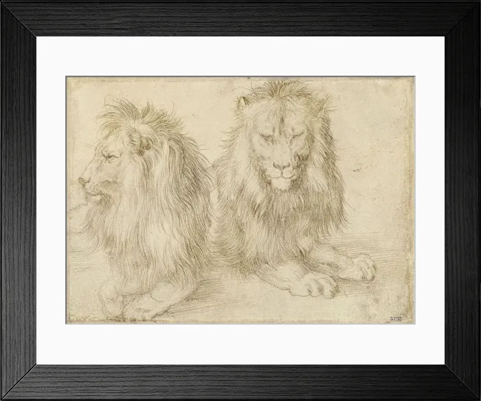 Framed Print : Two seated lions, 1521. Artist: Durer, Albrecht (1471-1528) Framed Print : Two seated lions, 1521. Artist: Durer, Albrecht (1471-1528)
