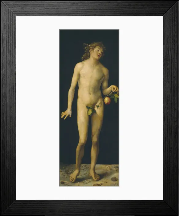 Framed Print : Adam, 1507. Artist: Durer, Albrecht (1471-1528) Framed Print : Adam, 1507. Artist: Durer, Albrecht (1471-1528)