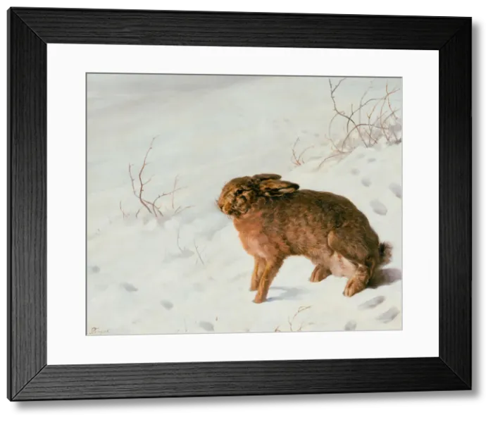 Framed Print : Hare in the Snow, 1875. Artist: Rayski, Louis Ferdinand von (1806-1890) Framed Print : Hare in the Snow, 1875. Artist: Rayski, Louis Ferdinand von (1806-1890)