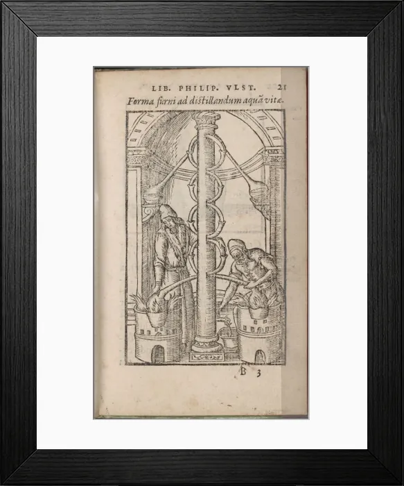 Framed Print : Alchemical apparatus (From: Liber de secretis naturae), 1556-1557. Artist: Ulstadius (Ulstadt), Philipus (Philip) (active 16th century) Framed Print : Alchemical apparatus (From: Liber de secretis naturae), 1556-1557. Artist: Ulstadius (Ulstadt), Philipus (Philip) (active 16th century)
