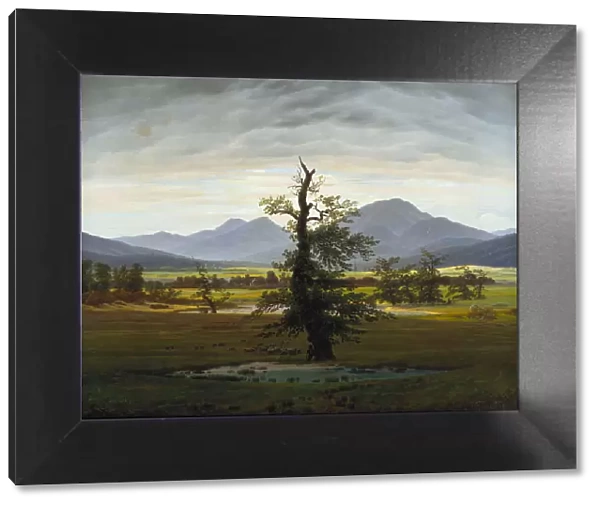 Solitary Tree (Village Landscape in Morning Light), 1822. Artist: Friedrich, Caspar David (1774-1840)