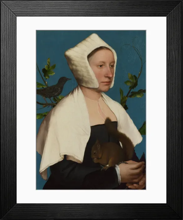 Framed Print : A Lady with a Squirrel and a Starling (Anne Lovell?), c. 1527. Artist: Holbein, Hans, the Younger (1497-1543) Framed Print : A Lady with a Squirrel and a Starling (Anne Lovell?), c. 1527. Artist: Holbein, Hans, the Younger (1497-1543)