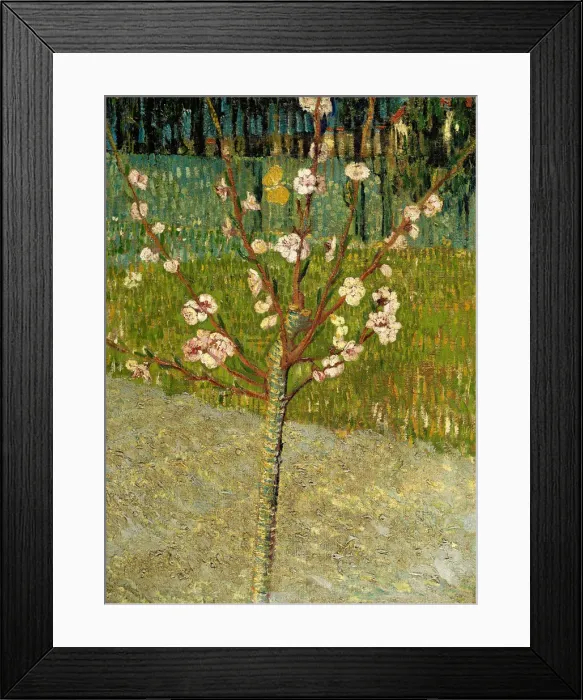 Framed Print : Almond tree in blossom, 1888. Artist: Gogh, Vincent, van (1853-1890) Framed Print : Almond tree in blossom, 1888. Artist: Gogh, Vincent, van (1853-1890)