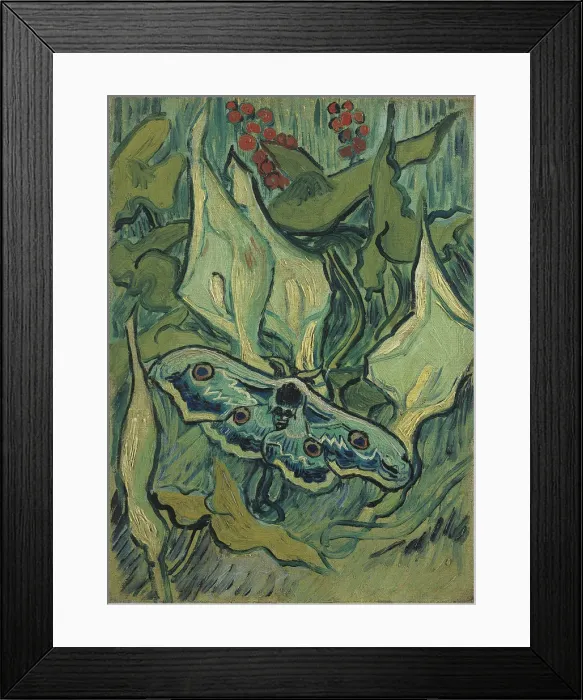 Framed Print : Green Peacock Moth (The Emperor Moth), 1889. Artist: Gogh, Vincent, van (1853-1890) Framed Print : Green Peacock Moth (The Emperor Moth), 1889. Artist: Gogh, Vincent, van (1853-1890)