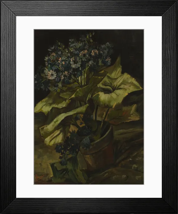 Framed Print : Cineraria, 1886. Artist: Gogh, Vincent, van (1853-1890) Framed Print : Cineraria, 1886. Artist: Gogh, Vincent, van (1853-1890)