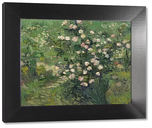 Roses, 1889. Artist: Gogh, Vincent, van (1853-1890)