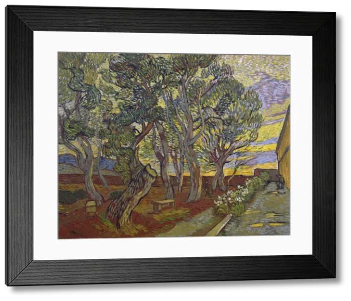 Framed Print : The garden of Saint Pauls Hospital, 1889. Artist: Gogh, Vincent, van (1853-1890) Framed Print : The garden of Saint Pauls Hospital, 1889. Artist: Gogh, Vincent, van (1853-1890)