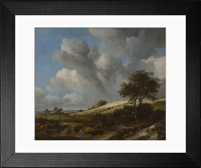 Framed Print : A Cornfield with the Zuiderzee in the background, c. 1660. Artist: Ruisdael, Jacob Isaacksz, van (1628 / 29-1682) Framed Print : A Cornfield with the Zuiderzee in the background, c. 1660. Artist: Ruisdael, Jacob Isaacksz, van (1628 / 29-1682)