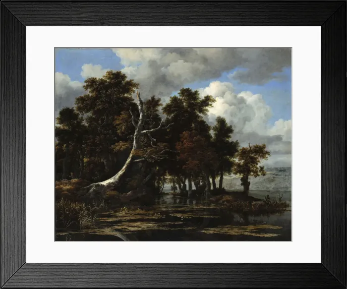 Framed Print : Oaks at a lake with Water Lilies. Artist: Ruisdael, Jacob Isaacksz, van (1628 / 29-1682) Framed Print : Oaks at a lake with Water Lilies. Artist: Ruisdael, Jacob Isaacksz, van (1628 / 29-1682)