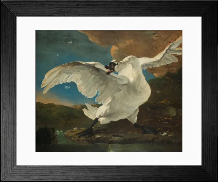 Framed Print : The Threatened Swan, before 1652. Artist: Asselijn, Jan (ca 1610-1652) Framed Print : The Threatened Swan, before 1652. Artist: Asselijn, Jan (ca 1610-1652)