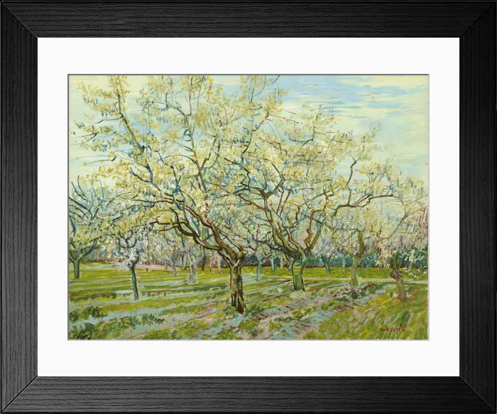 Framed Print : The white orchard, 1888. Artist: Gogh, Vincent, van (1853-1890) Framed Print : The white orchard, 1888. Artist: Gogh, Vincent, van (1853-1890)