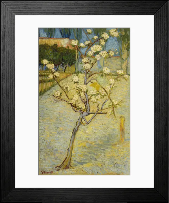 Framed Print : Small pear tree in blossom, 1888. Artist: Gogh, Vincent, van (1853-1890) Framed Print : Small pear tree in blossom, 1888. Artist: Gogh, Vincent, van (1853-1890)