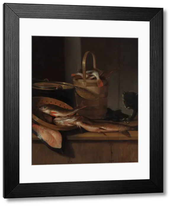 Framed Print : Still life with fish and a cat, c. 1650-1660. Artist: Vaillant, Wallerant (1623-1677) Framed Print : Still life with fish and a cat, c. 1650-1660. Artist: Vaillant, Wallerant (1623-1677)