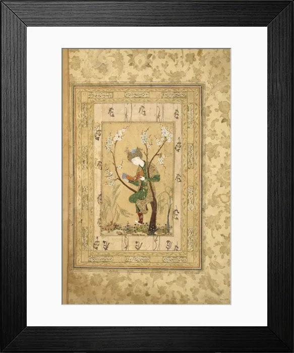 Framed Print : Youth Seated in the Fork of a Blossoming Tree, 1560s. Artist: Iranian master Framed Print : Youth Seated in the Fork of a Blossoming Tree, 1560s. Artist: Iranian master