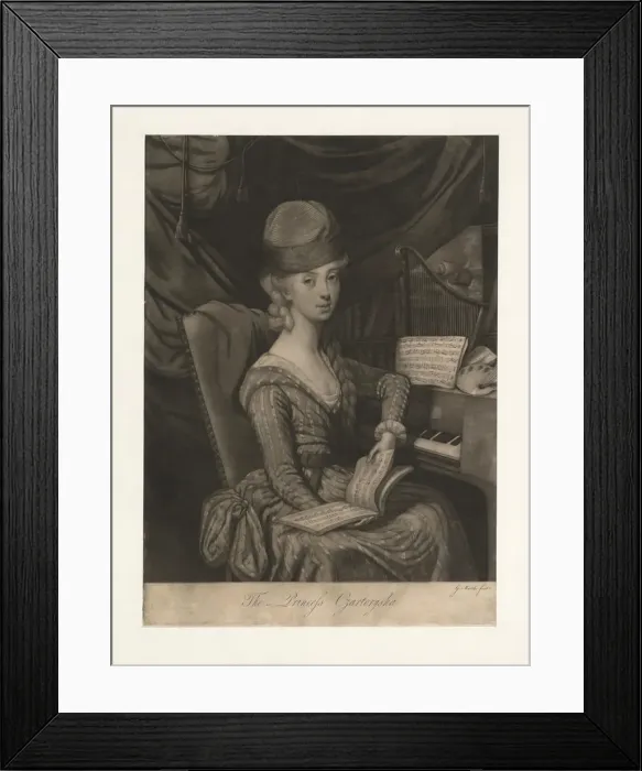 Framed Print : Portrait of Princess Izabela Czartoryska (nee Countess Fleming) (1746-1835), 1777. Artist: Marchi, Giuseppe Filippo Liberati (1721-1808) Framed Print : Portrait of Princess Izabela Czartoryska (nee Countess Fleming) (1746-1835), 1777. Artist: Marchi, Giuseppe Filippo Liberati (1721-1808)