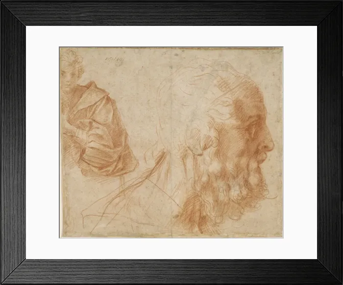 Framed Print : A youth and the head of an old man (Homer?). Study, ca 1521. Artist: Andrea del Sarto (1486-1531) Framed Print : A youth and the head of an old man (Homer?). Study, ca 1521. Artist: Andrea del Sarto (1486-1531)