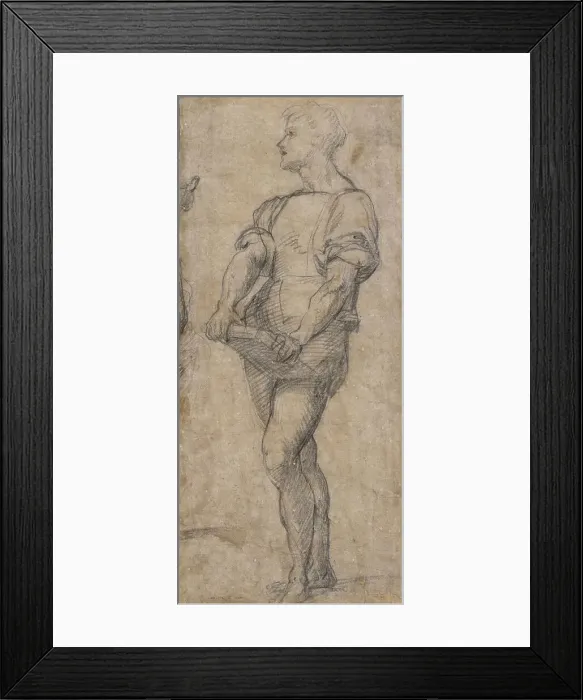 Framed Print : Standing youth holding a book, ca 1515. Artist: Andrea del Sarto (1486-1531)