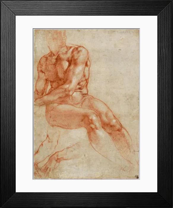 Framed Print : Seated Young Male Nude and Two Arm Studies, ca 1510-1511. Artist: Buonarroti, Michelangelo (1475-1564) Framed Print : Seated Young Male Nude and Two Arm Studies, ca 1510-1511. Artist: Buonarroti, Michelangelo (1475-1564)
