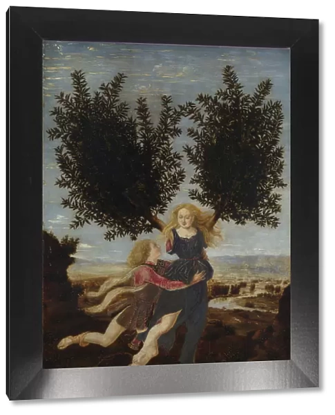 Apollo and Daphne, ca. 1470-1480. Artist: Pollaiuolo, Antonio (ca 1431-1498)