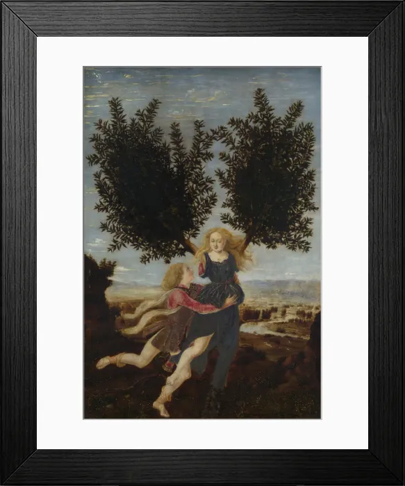 Framed Print : Apollo and Daphne, ca. 1470-1480. Artist: Pollaiuolo, Antonio (ca 1431-1498) Framed Print : Apollo and Daphne, ca. 1470-1480. Artist: Pollaiuolo, Antonio (ca 1431-1498)