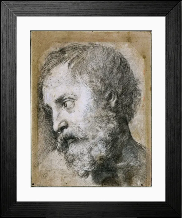 Framed Print : Head of An Apostle (Study for Transfiguration), 1519-1520. Artist: Raphael (1483-1520) Framed Print : Head of An Apostle (Study for Transfiguration), 1519-1520. Artist: Raphael (1483-1520)