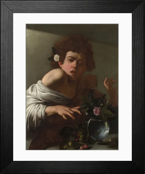 Framed Print : Boy bitten by a Lizard, ca 1595. Artist: Caravaggio, Michelangelo (1571-1610) Framed Print : Boy bitten by a Lizard, ca 1595. Artist: Caravaggio, Michelangelo (1571-1610)