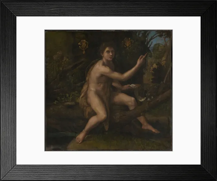 Framed Print : Saint John the Baptist, 1519. Artist: Raphael (1483-1520) Framed Print : Saint John the Baptist, 1519. Artist: Raphael (1483-1520)