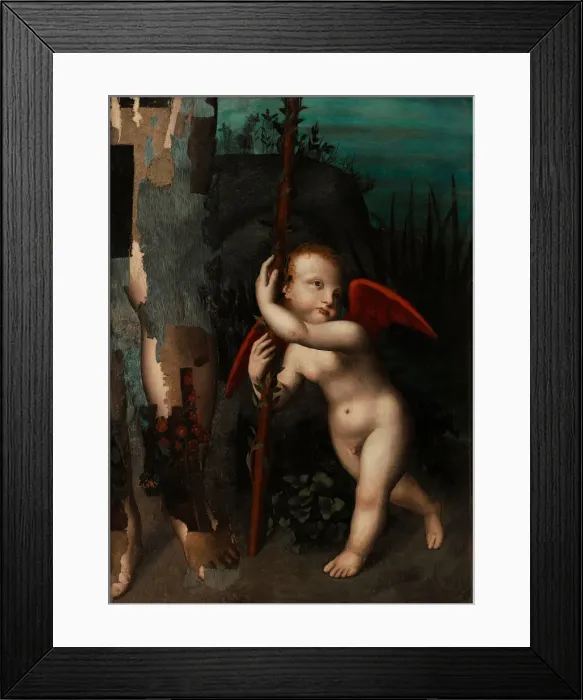 Framed Print : Cupid with a myrtle, before 1593. Artist: Luini, Aurelio (1530-1593) Framed Print : Cupid with a myrtle, before 1593. Artist: Luini, Aurelio (1530-1593)